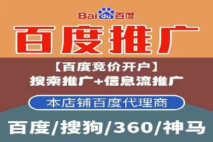SEM服务公司助力品牌崛起案例